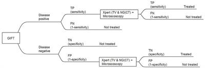 Cost-effectiveness analysis of different screening and diagnostic strategies for sexually transmitted infections and bacterial vaginosis in women attending primary health care facilities in Cape Town